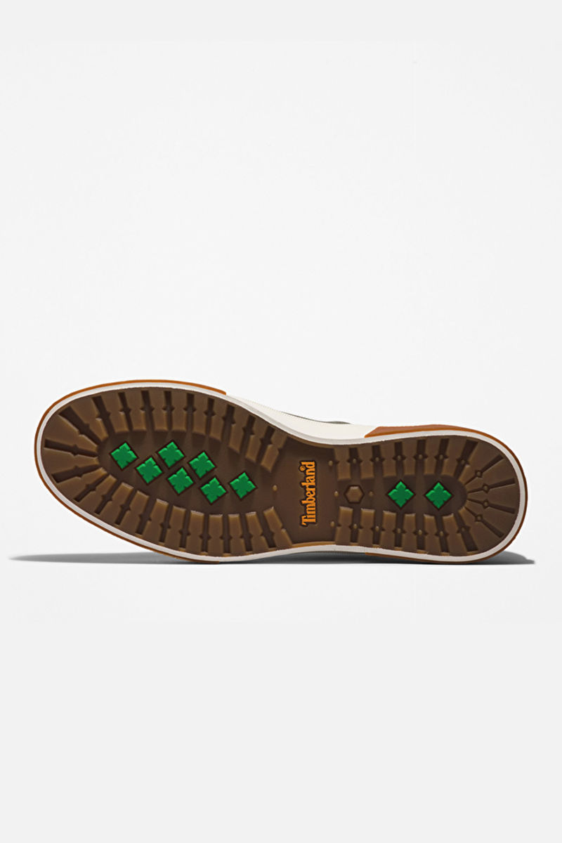 aktif-GRAPE LEAF-TB0A29HFA581-0004639_0